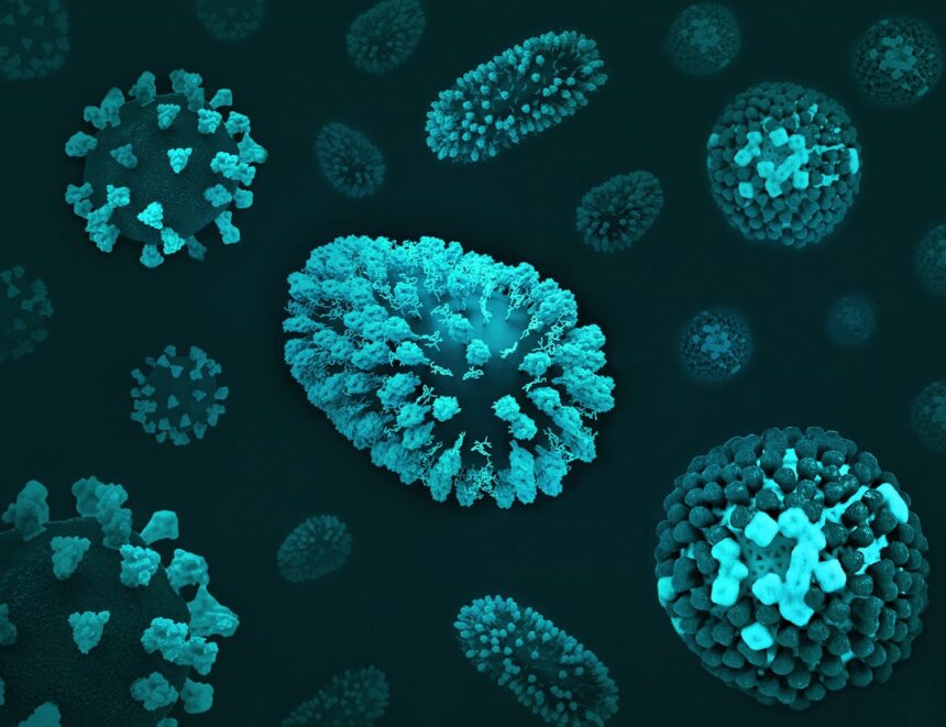 Diagram showing T-cell immune response to Mycobacterium tuberculosis in latent versus active tuberculosis infection