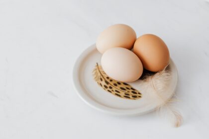 Eggs as a source of choline for cognitive health and Alzheimer's prevention