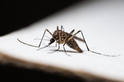 Qualitative study on malaria treatment perceptions among health workers and patients in Ethiopia