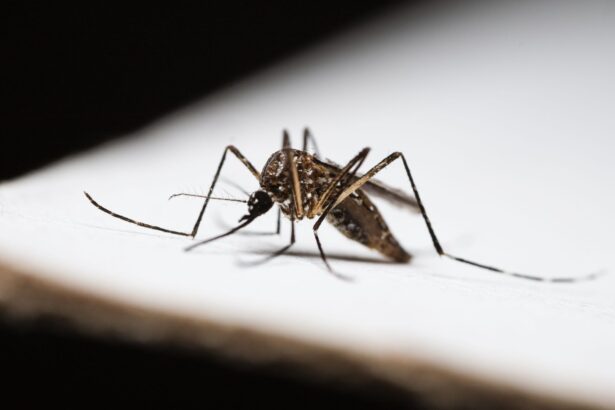 Qualitative study on malaria treatment perceptions among health workers and patients in Ethiopia