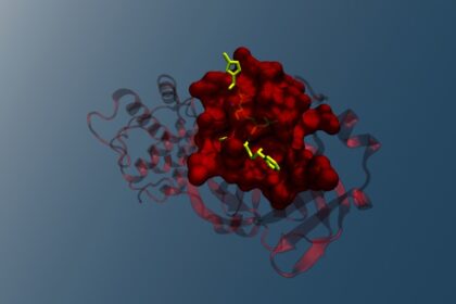 Diagram showing mitochondrial metabolic pathways including DNA synthesis, antioxidant production, and one-carbon metabolism