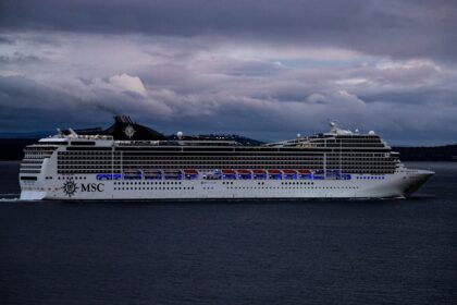 Cruise ship at port in San Francisco with medical personnel responding to outbreak