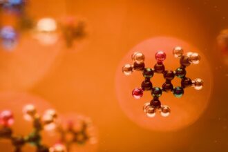 Molecular structure visualization of rye pollen bioactive compounds with three-dimensional atomic arrangement