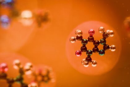 Molecular structure visualization of rye pollen bioactive compounds with three-dimensional atomic arrangement