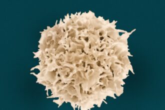 Illustration of engineered silica nanoparticles targeting prostate cancer cells with immune system activation