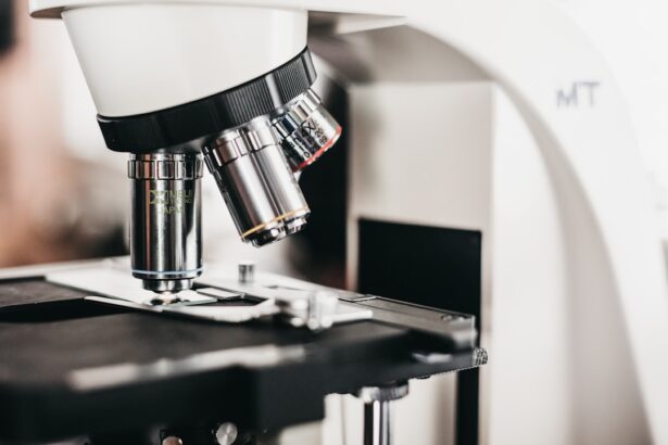 Neo-CheckRay trial design comparing four treatment arms of neoadjuvant SBRT with durvalumab and oleclumab in early-stage breast cancer