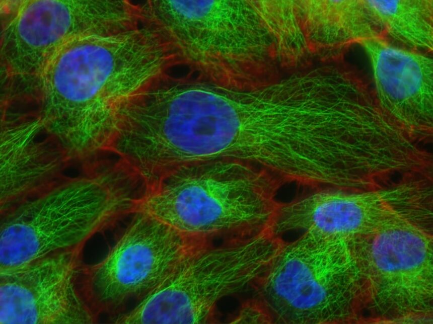 Illustration of synthetic cell structure and laboratory design process