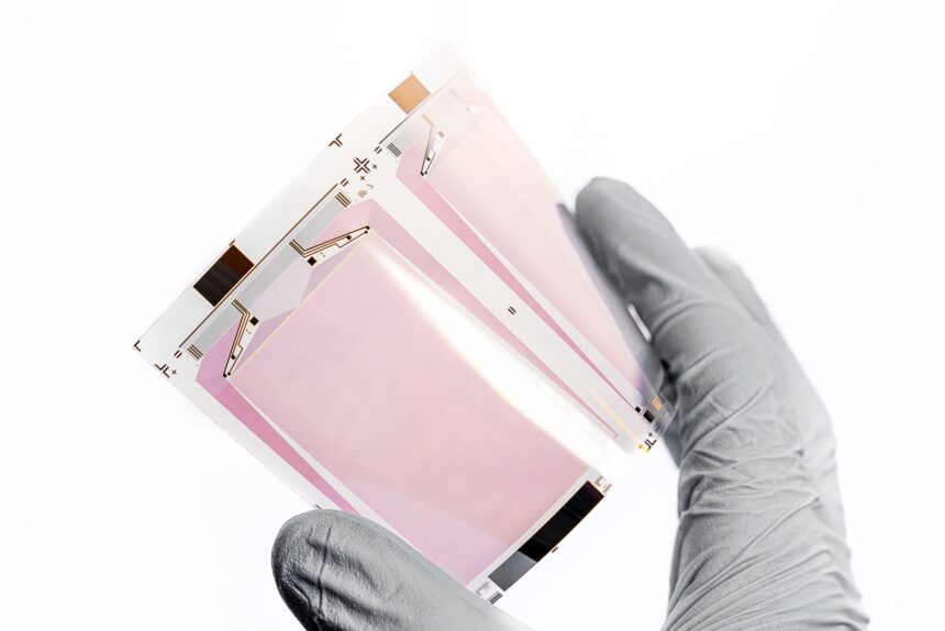 Laboratory visualization of engineered immune cells targeting cancer cells in preclinical research