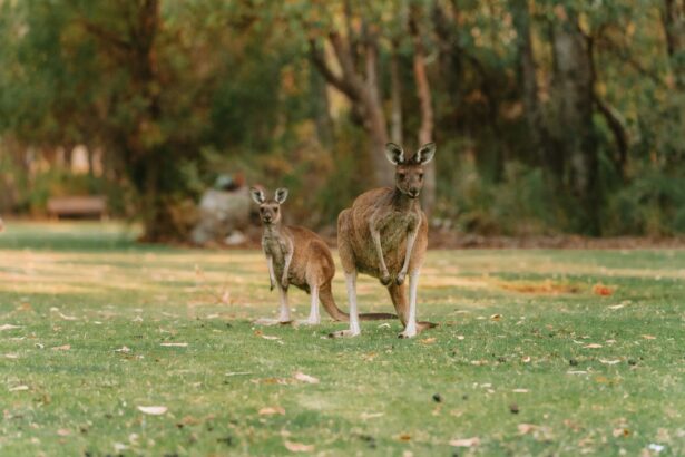 WOAH headquarters building representing wildlife health strategy for pandemic prevention