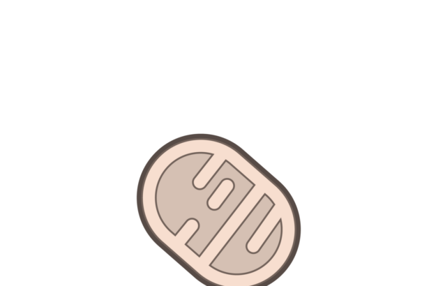 Mitochondrial biology is central to astaxanthin aging research