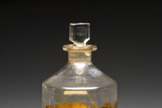Amber glass filters the wavelengths that photodegrade cobalamins