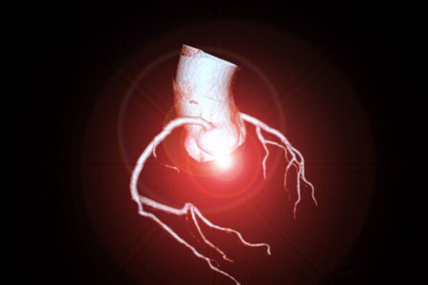 CoQ10 is concentrated in high-energy organs such as the heart