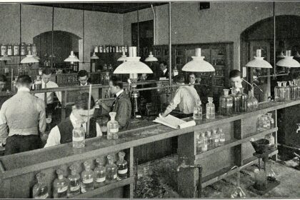 Reading a laboratory certificate of analysis for a supplement batch