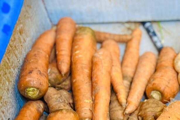 BCO1 gene variants make beta-carotene conversion to vitamin A unreliable in a large minority