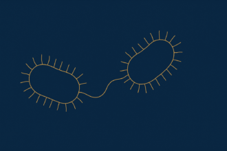 Editorial illustration: The Kent MenB Lesson: Why Bacterial Recombination Demands a New Paradigm in Meningococcal Surveillance
