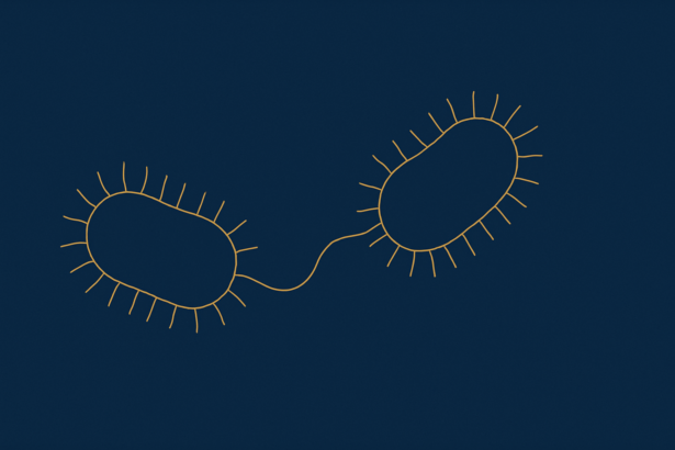 Editorial illustration: The Kent MenB Lesson: Why Bacterial Recombination Demands a New Paradigm in Meningococcal Surveillance