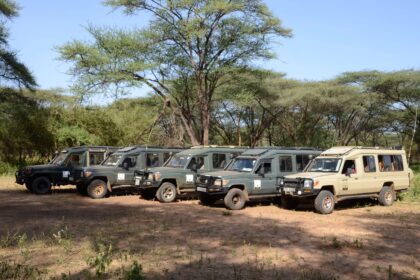 Wide open Kenya safari landscape with wildlife