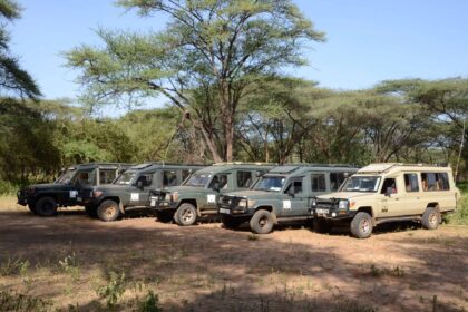 Africa Calling Safaris Land Cruisers lined up under acacia trees before a game drive in Kenya