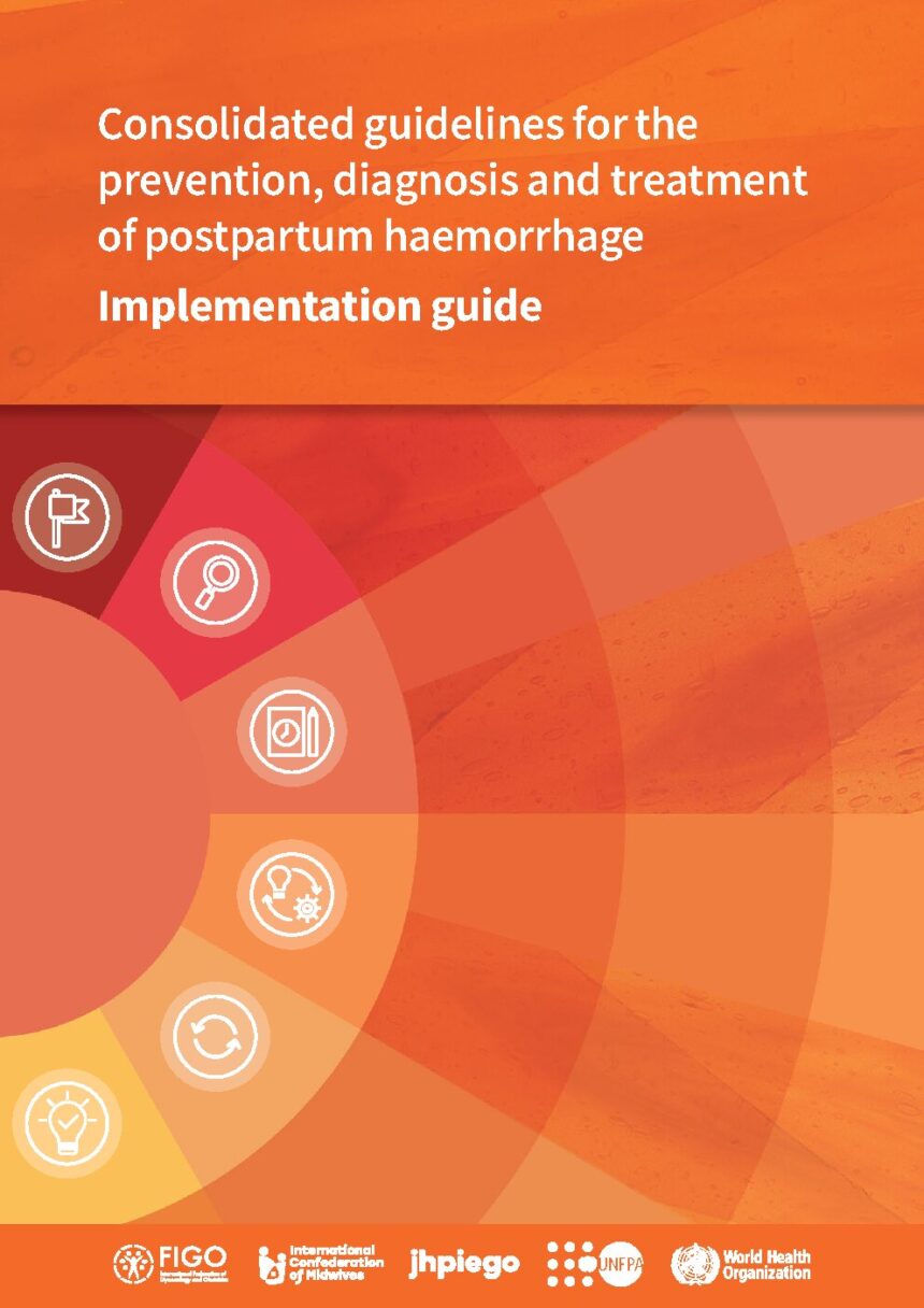 Cover of Consolidated guidelines for the prevention, diagnosis and treatment of postpartum haemorrhage: implementation guide, World Health Organization