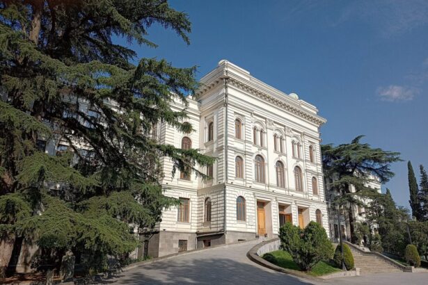 Tbilisi State University — youth and the education-to-work transition