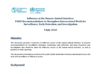Cover of Influenza at the Human-Animal Interface: PAHO Recommendations to Strengthen Intersectoral Work for Surveillance, Early Detection, and Investigation, Pan American Health Organization