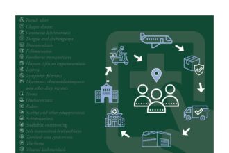 Cover of Routine health information system and health facility and community data for neglected tropical diseases: last-mile logistics information system for medicines and health products, World Health Organization