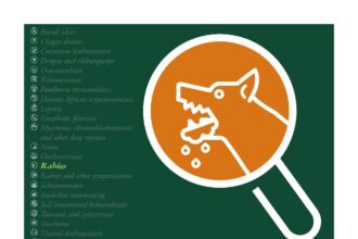 Cover of Routine health information system and health facility data for neglected tropical diseases: Rabies, World Health Organization