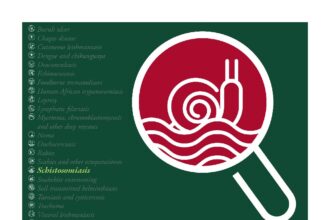 Cover of Routine health information system and health facility data for neglected tropical diseases: Schistosomiasis, World Health Organization