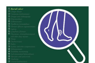 Cover of Routine health information system and health facility data for neglected tropical diseases: Buruli ulcer, World Health Organization