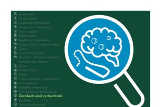 Cover of Routine health information system and health facility data for neglected tropical diseases: Taenia solium taeniasis and cysticercosis, World Health Organization