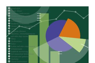 Cover of Routine health information system and health facility data for neglected tropical diseases: general guidance for national programme managers and data clerks, World Health Organization