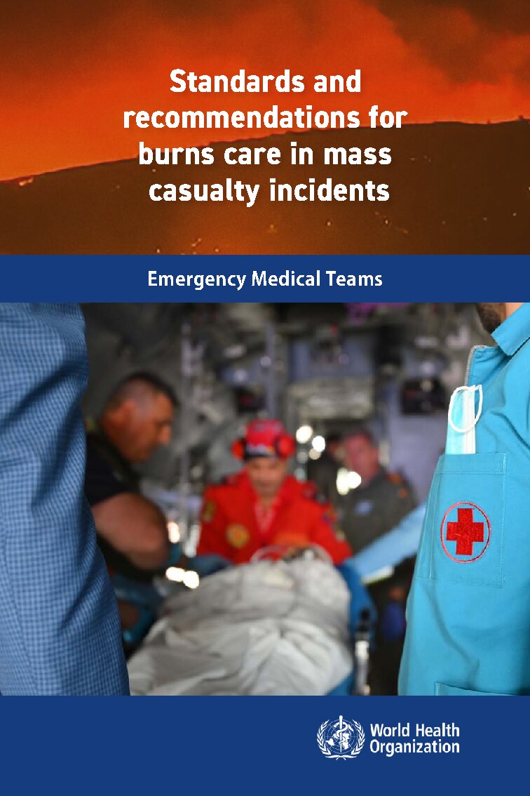 Cover of Standards and recommendations for burns care in mass casualty incidents, World Health Organization