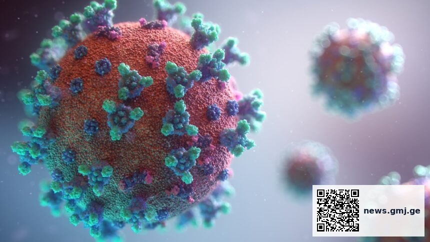 European public health experts at ECDC respiratory virus surveillance network meeting in Vienna