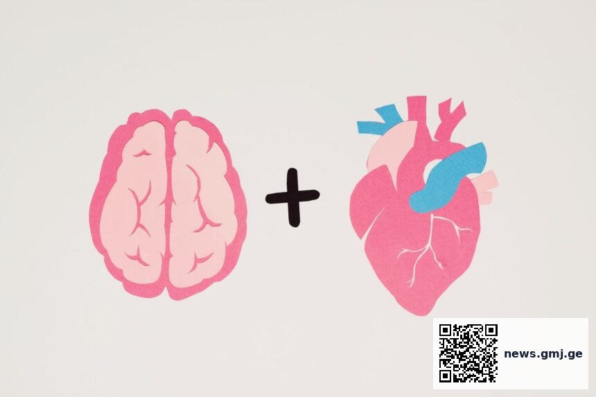 Medical illustration showing interconnected heart and brain health management protocols