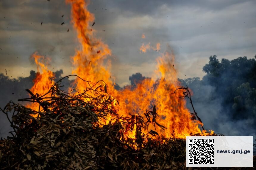 Medical professionals reviewing air quality data and wood stove health impact research
