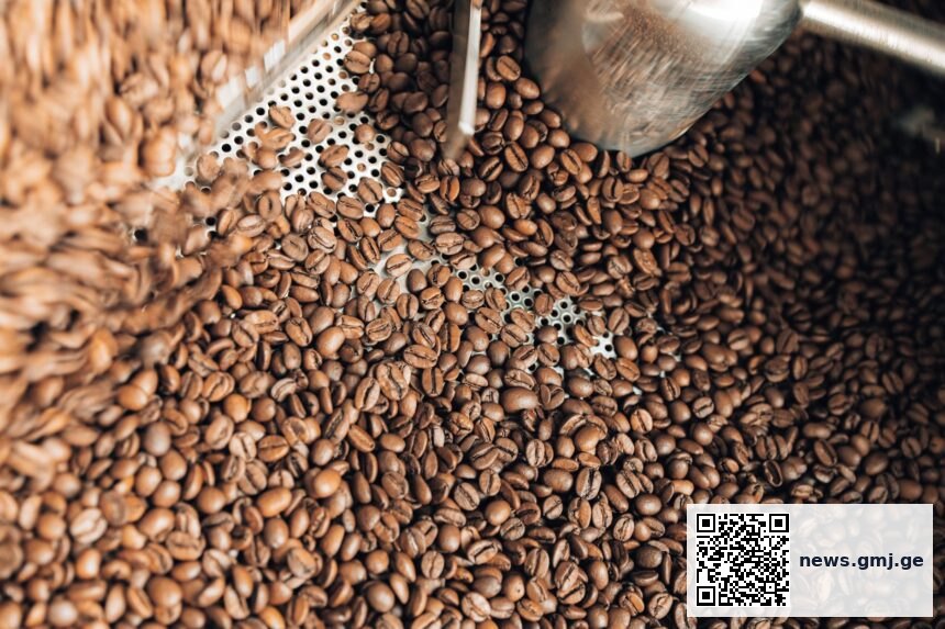 Bar chart comparing chlorogenic acid content across light, medium, and dark roasted coffee beans
