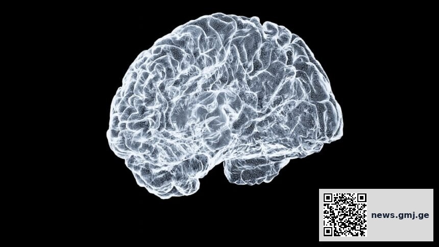 Illustration of brain energy metabolism and micronutrient pathways supporting neurotransmitter synthesis